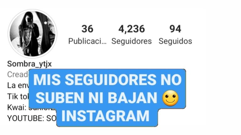 Porque suben y bajan seguidores en instagram